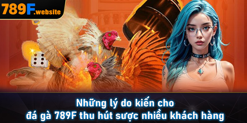 Những lý do kiến cho đá gà 789F thu hút sược nhiều khách hàng